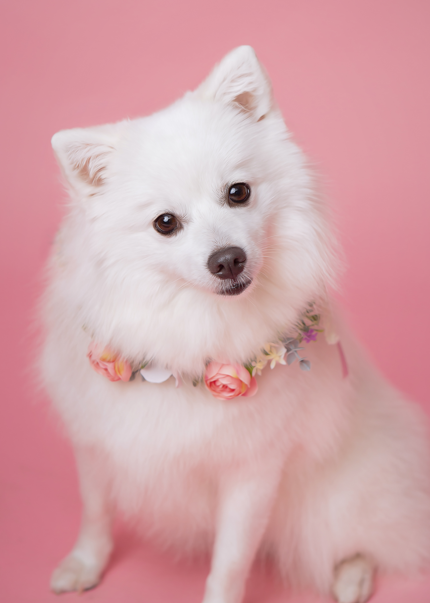 갤러리 이미지 1