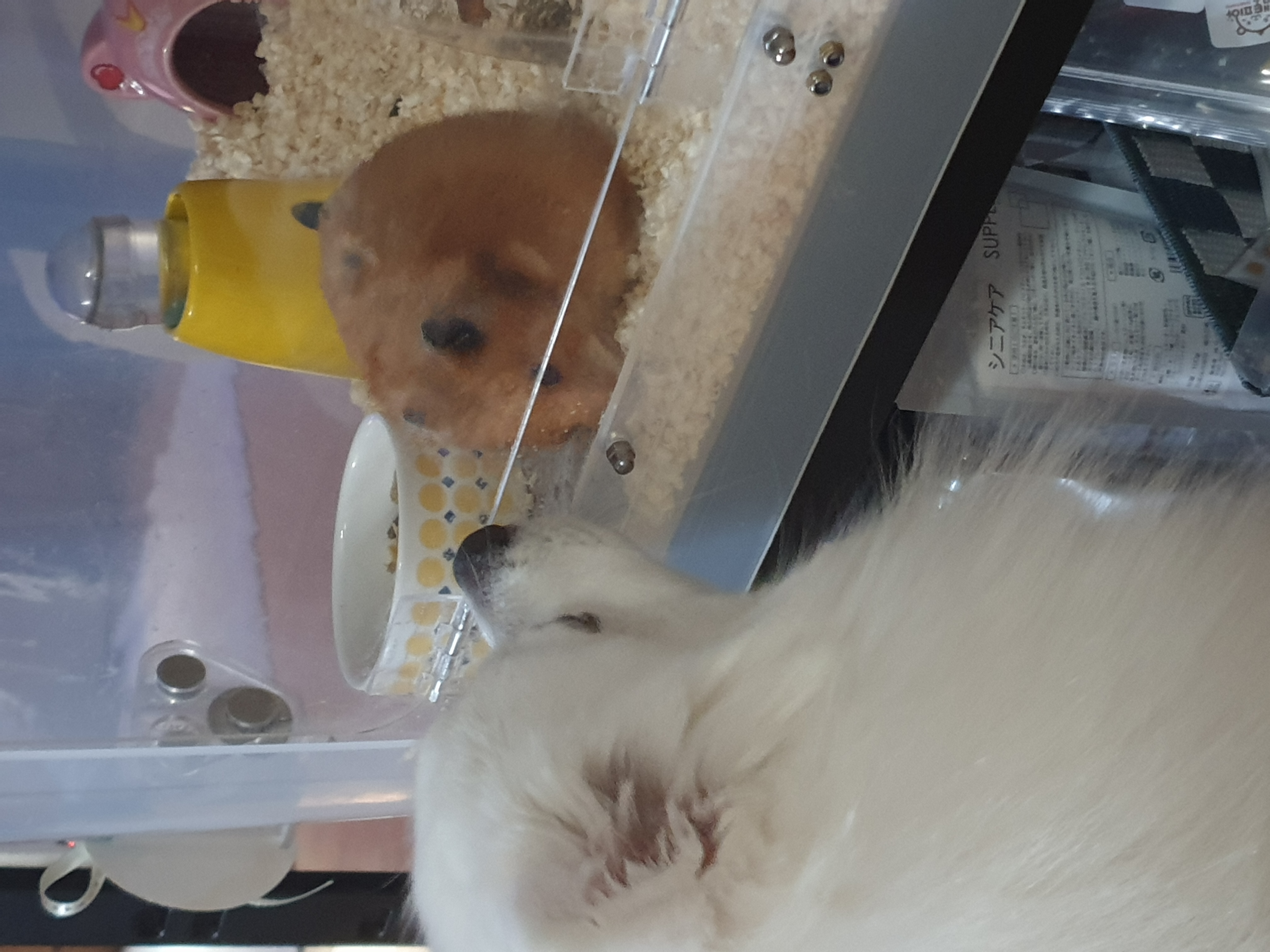 갤러리 이미지 2