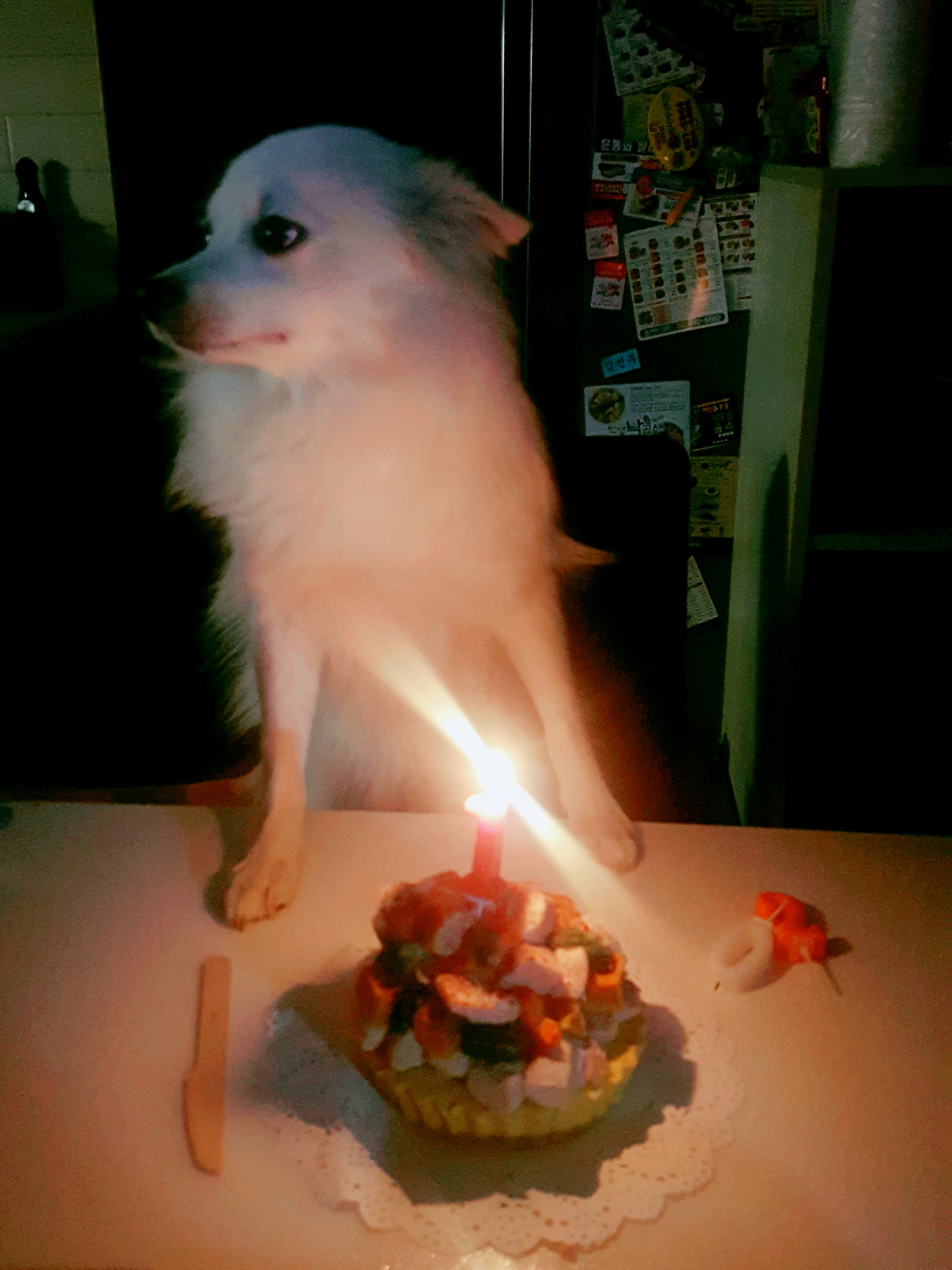 갤러리 이미지 3