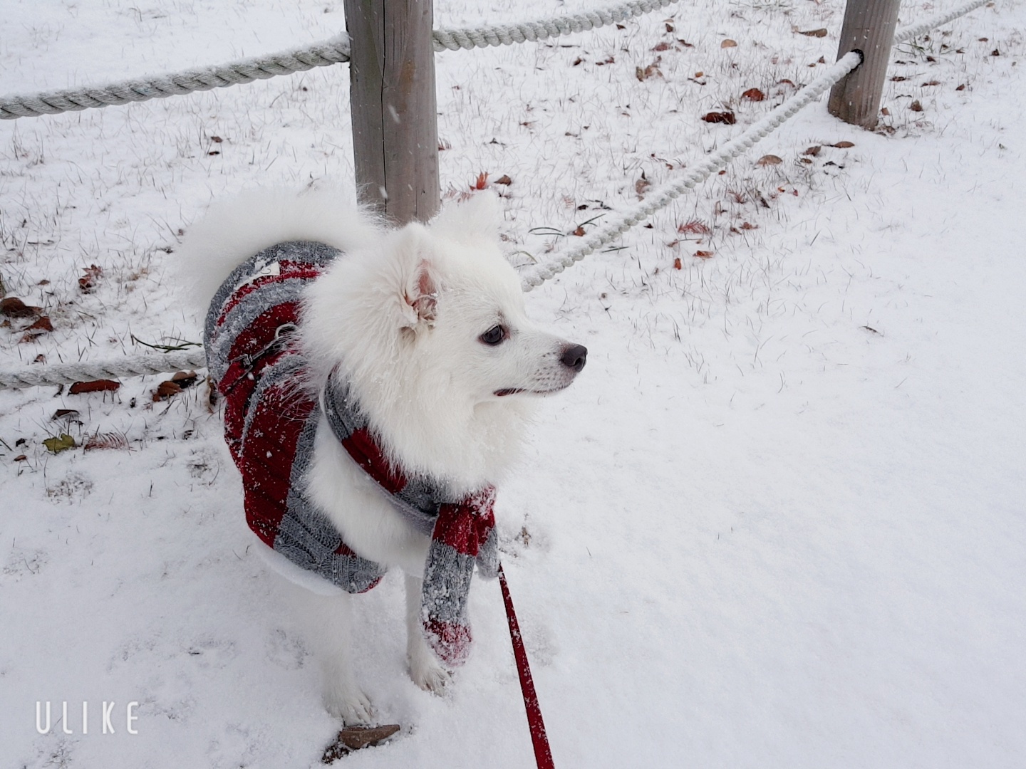 갤러리 이미지 4