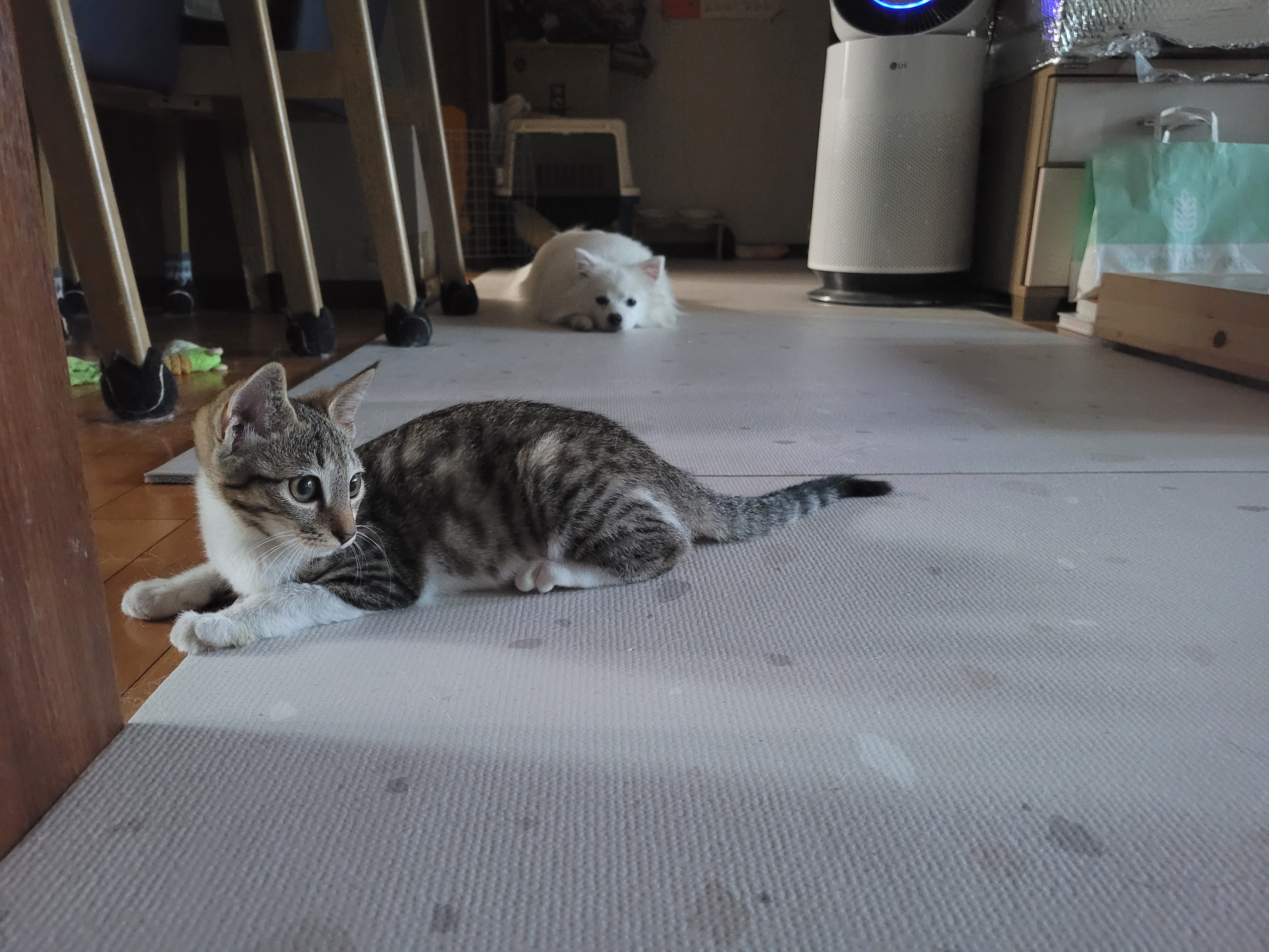 갤러리 이미지 9