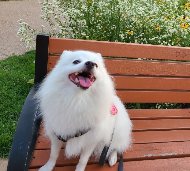 루디의 프로필 사진