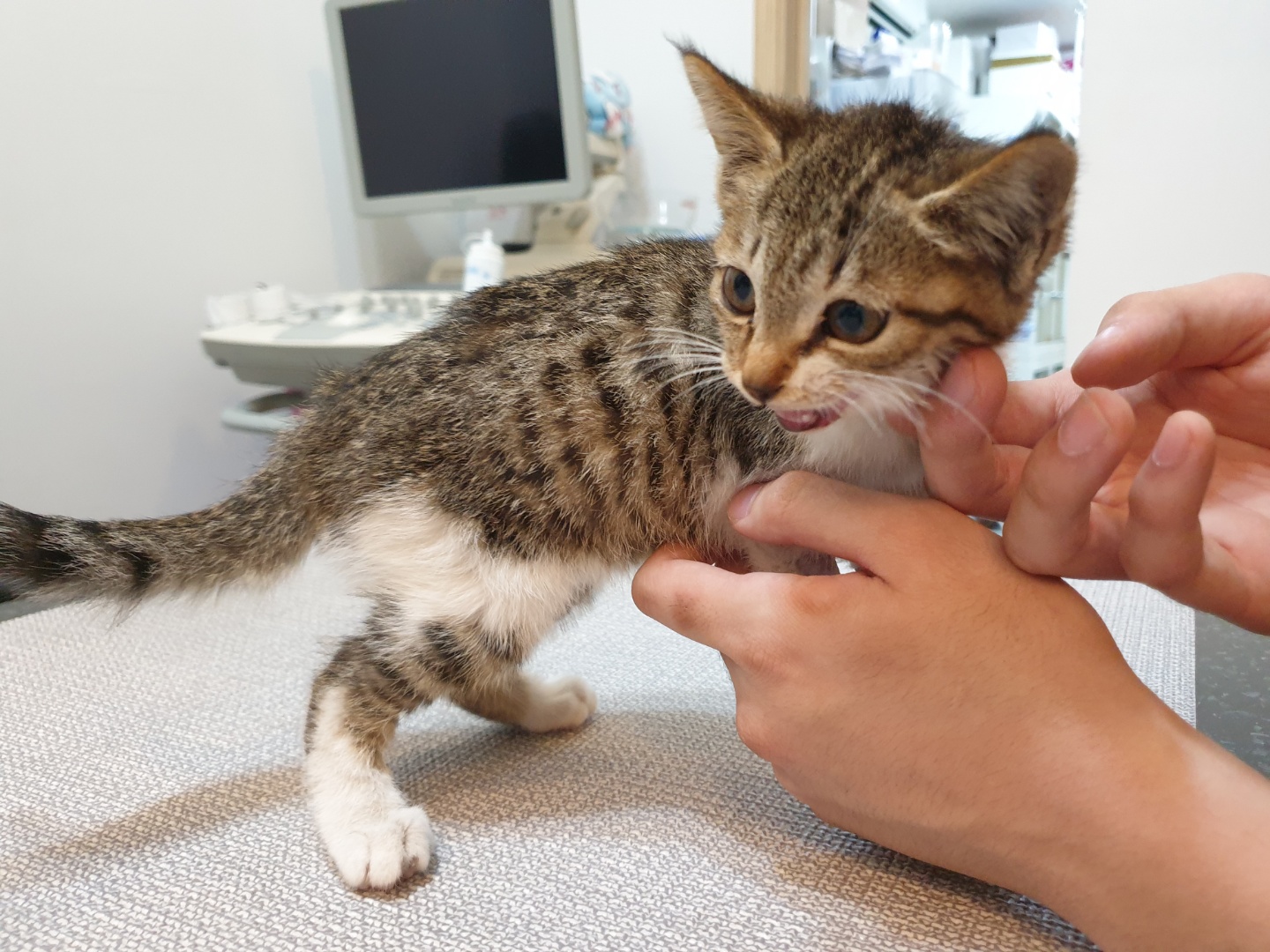 갤러리 이미지 5