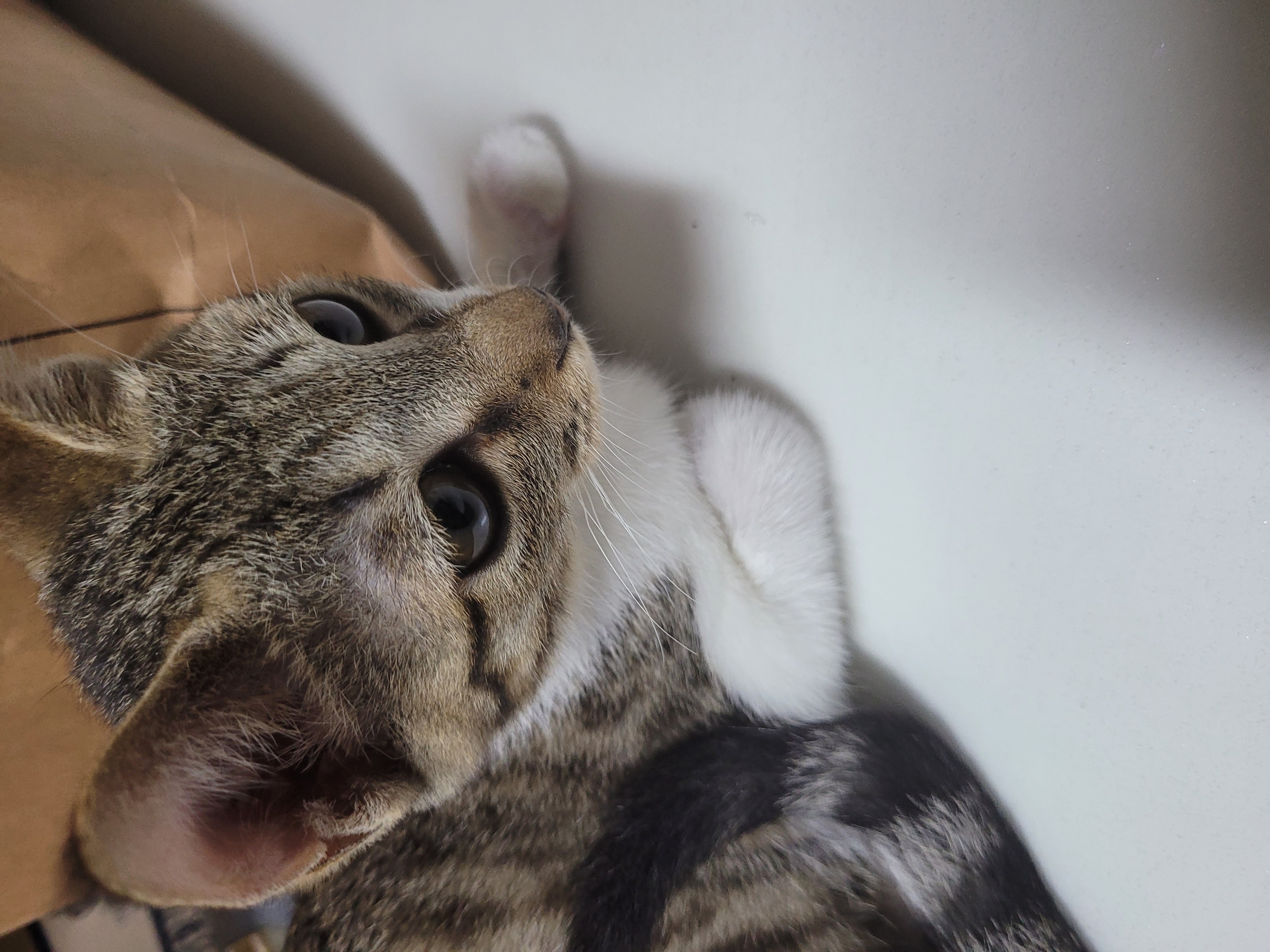 갤러리 이미지 6