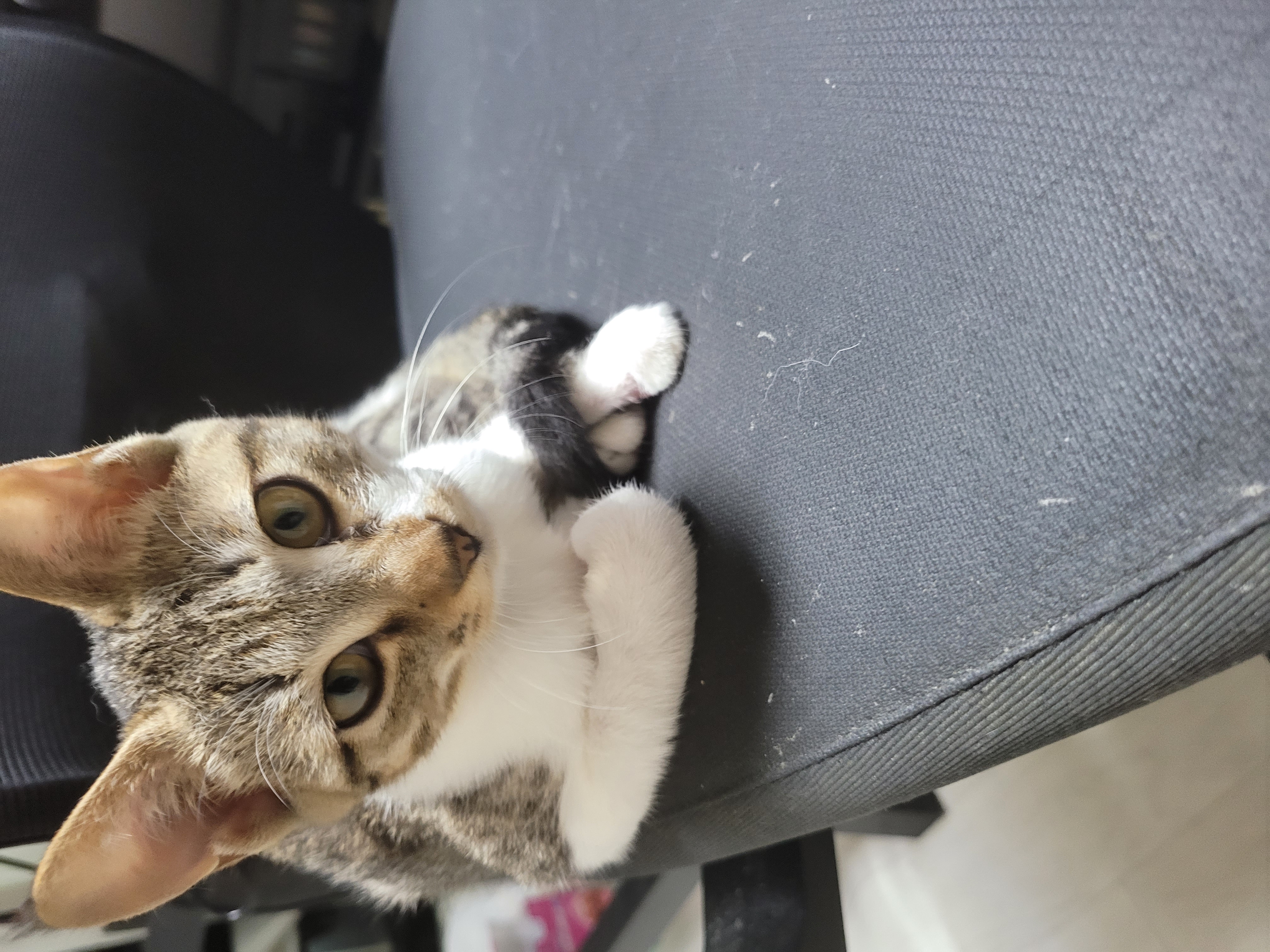 갤러리 이미지 8